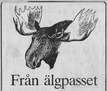 aelg_ep.jpg aelg_ep.jpg