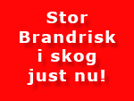 Stor brandrisk skog