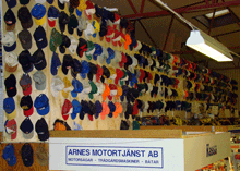arnes109.gif
