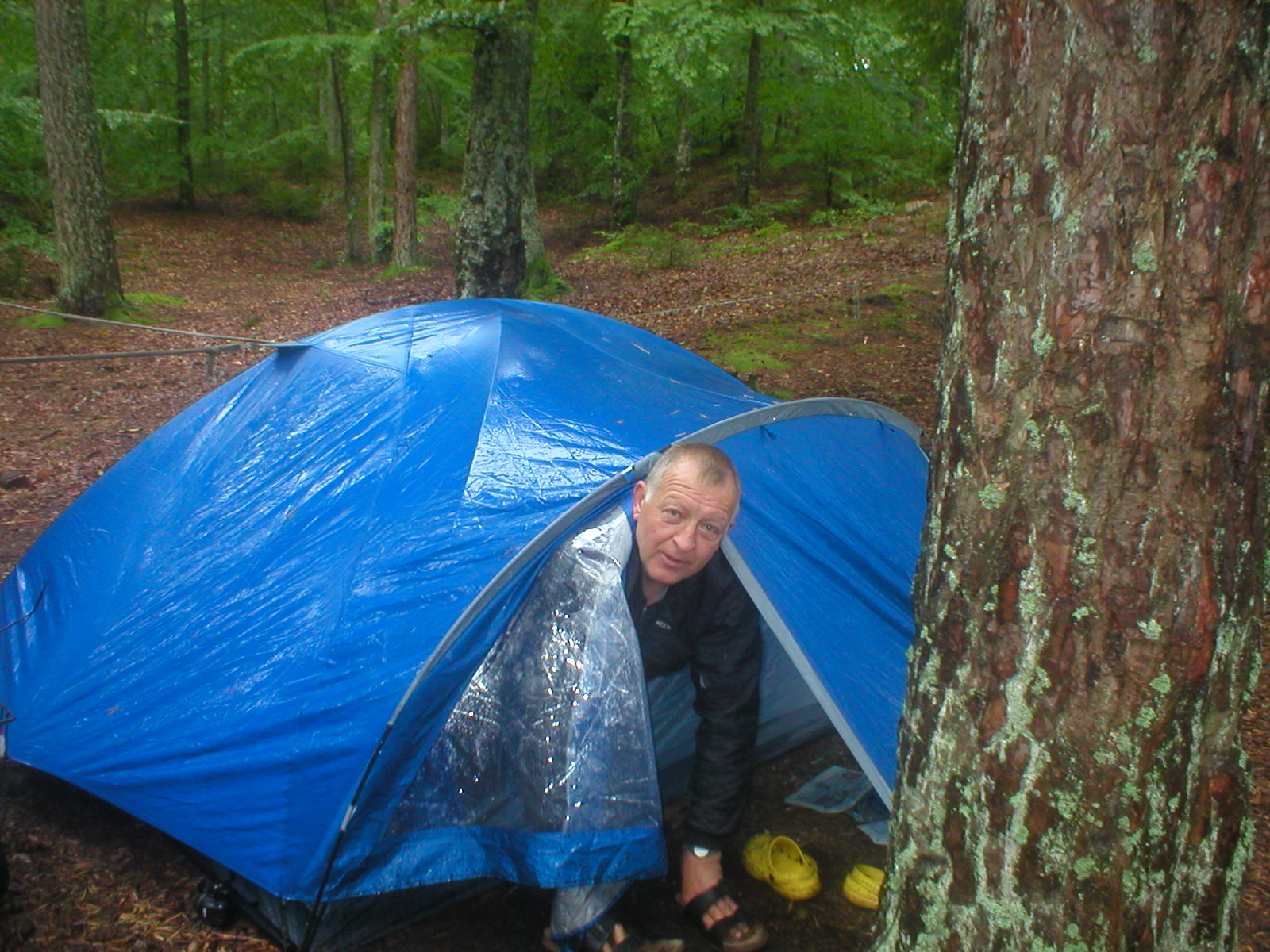 artikelbilder_008.jpg artikelbilder_008.jpg