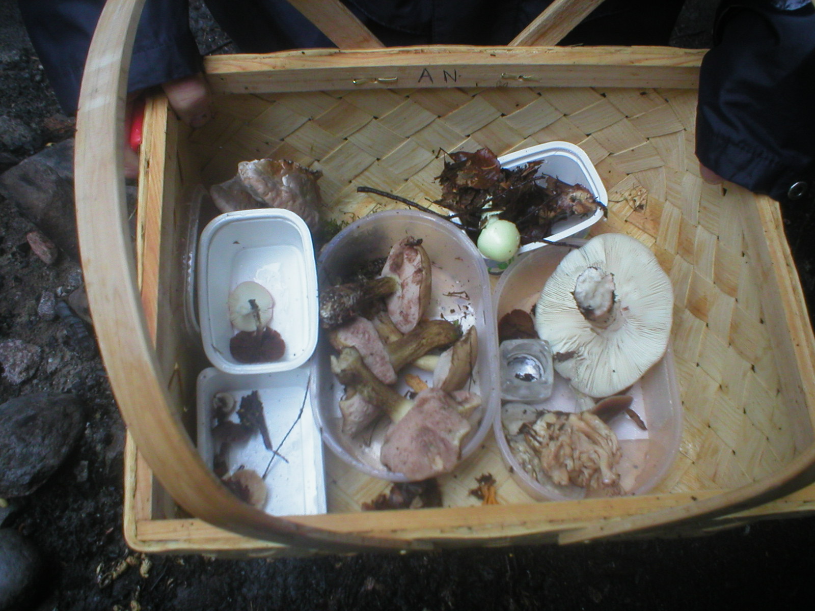 artikelbilder_009.jpg artikelbilder_009.jpg