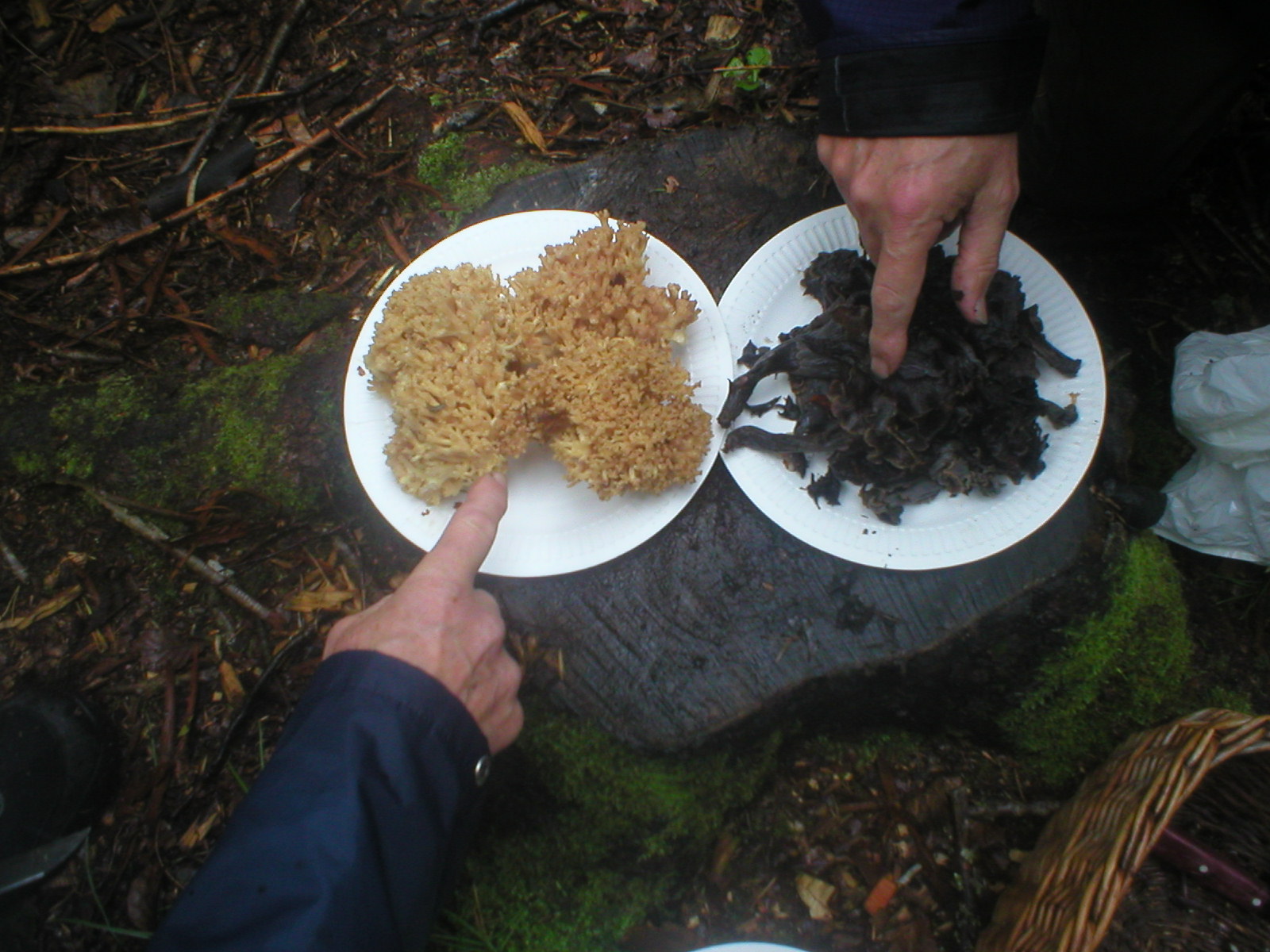 artikelbilder_013.jpg artikelbilder_013.jpg