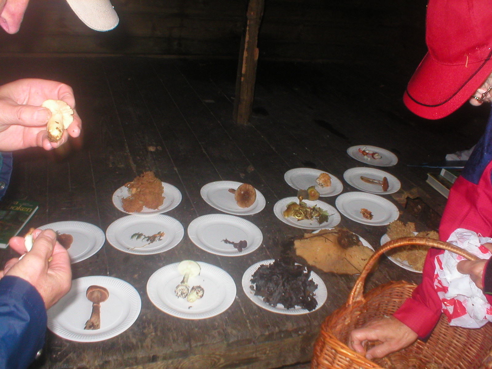 artikelbilder_014.jpg artikelbilder_014.jpg