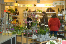 dsc_0009_redigerad-1.jpg
