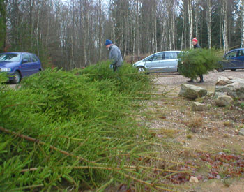 julgranar-001.jpg