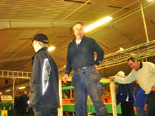 lionhemmestr208.jpg