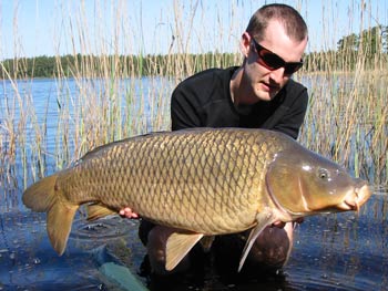 ole-petter-henriksson-1232.jpg ole-petter-henriksson-1232.jpg