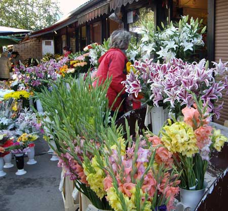 riga-blomstergatan.jpg