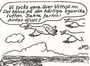 vittsjo-bild2.jpg