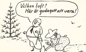 vittsjo-bild5.jpg