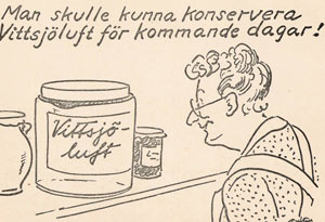 vittsjo-bild6.jpg