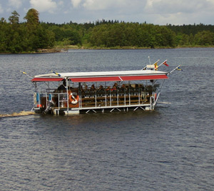 vittsjodagen-2008-ubbe.jpg